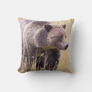 VS, Wyoming, Yellowstone National Park, Grizzly 3 Kussen