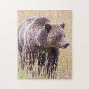 VS, Wyoming, Yellowstone National Park, Grizzly 3 Legpuzzel