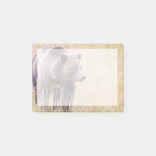 VS, Wyoming, Yellowstone National Park, Grizzly 3 Post-it® Notes (Voorkant)