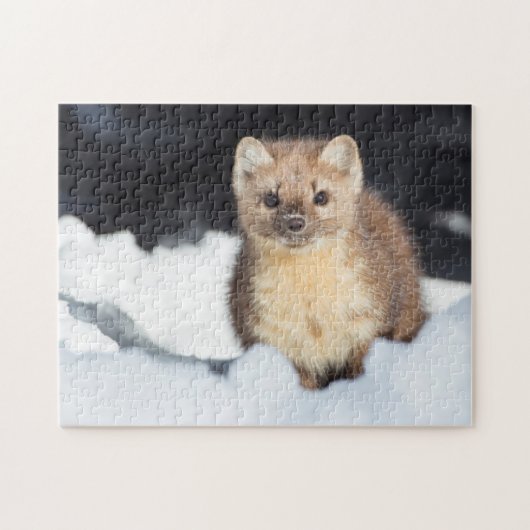 VS, Wyoming, Yellowstone National Park Legpuzzel (Horizontaal)