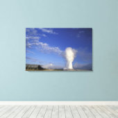 VS, Wyoming. Yellowstone National Park. Oud Canvas Afdruk (Insitu (Houten vloer))