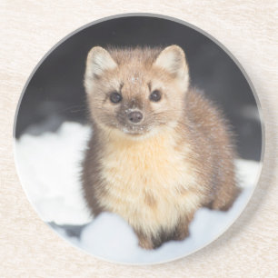 VS, Wyoming, Yellowstone National Park Zandsteen Onderzetter