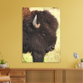 VS, Zuid Dakota, Amerikaans bizon (Bison bison) Canvas Afdruk (Insitu (Woonkamer))