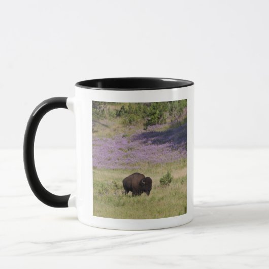 VS, Zuid Dakota, Amerikaans bizon (Bison bison) Mok (Links)
