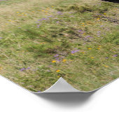 VS, Zuid Dakota, Amerikaans bizon (Bison bison) Poster (Hoek)