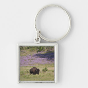 VS, Zuid Dakota, Amerikaans bizon (Bison bison) Sleutelhanger