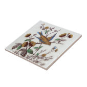 VT0031 Reproduction Antiek Transferware Tegeltje (Zijkant)