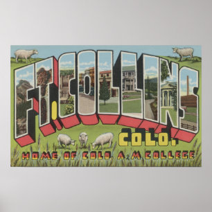 Vt. Collins, Colorado - Grote letterscènes Poster
