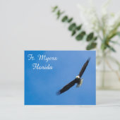 Vt. Myers Bald Eagle briefkaart (Staand voorkant)