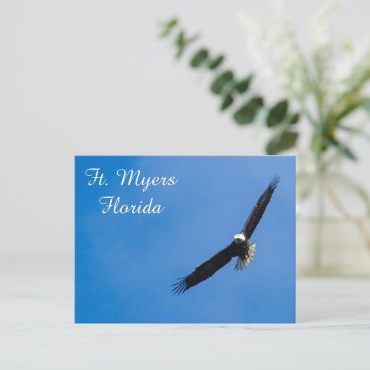 Vt. Myers Bald Eagle briefkaart (Staand voorkant)
