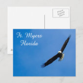 Vt. Myers Bald Eagle briefkaart (Voorkant / Achterkant)