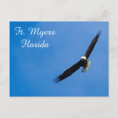 Vt. Myers Bald Eagle briefkaart (Voorkant)