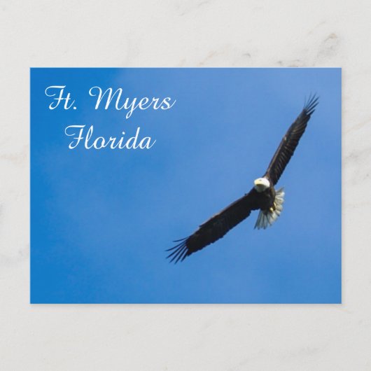 Vt. Myers Bald Eagle briefkaart (Voorkant)