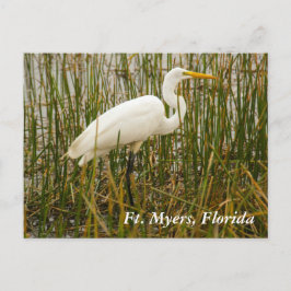 Vt. Myers briefkaart