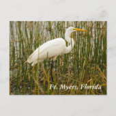 Vt. Myers briefkaart (Voorkant)