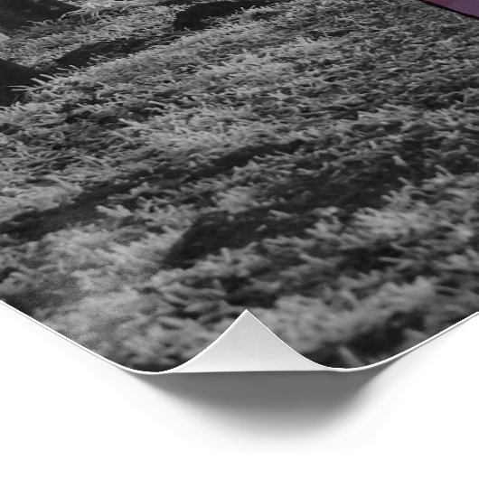 VTuber, anime winter Forrest, bos Perfect Poster (Hoek)