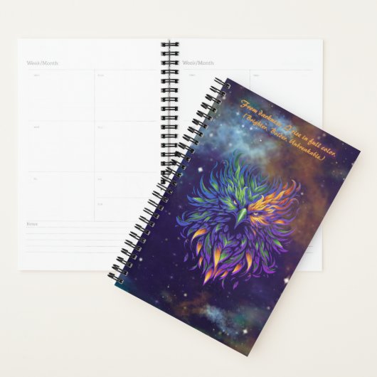 VTVR-PHOENIX6-BLUPUR-PL - Planner (Display)