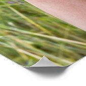 vuile blote voeten in wilde bloemen poster (Hoek)