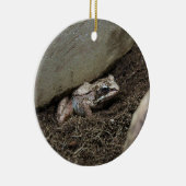 Vuile Kikker Keramisch Ornament (Rechts)