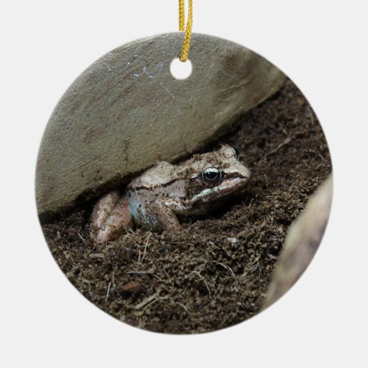 Vuile Kikker Keramisch Ornament (Voorkant)