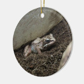 Vuile Kikker Keramisch Ornament (Links)