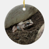Vuile Kikker Keramisch Ornament (Achterkant)