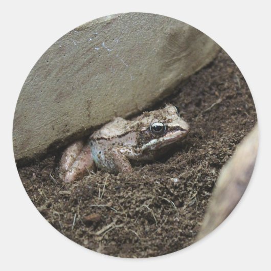 Vuile Kikker Ronde Sticker (Voorkant)