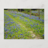 vuile wegen briefkaart (Voorkant)