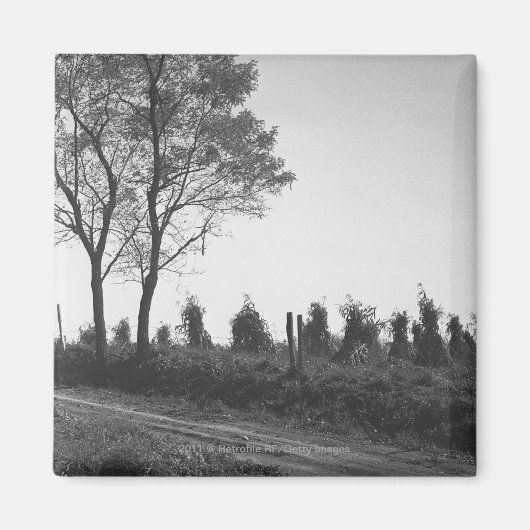 Vuilweg per veld B&W Magneet (Voorkant)