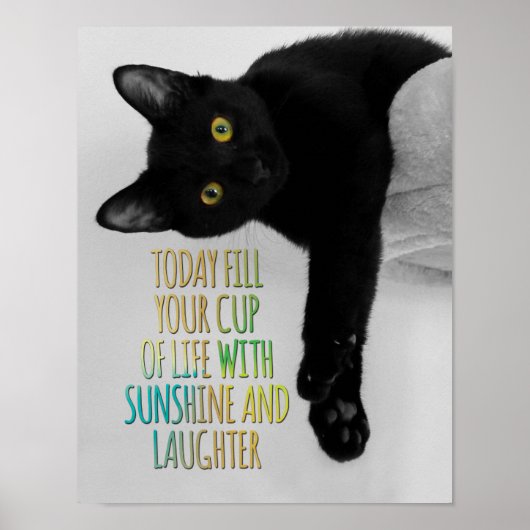 Vul uw Motivatie prijsopgave voor Life Black Cat Poster (Voorkant)