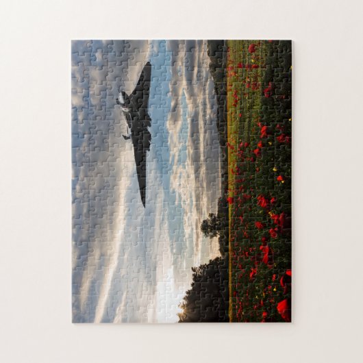 Vulcan-geschiedenis Legpuzzel (Verticaal)