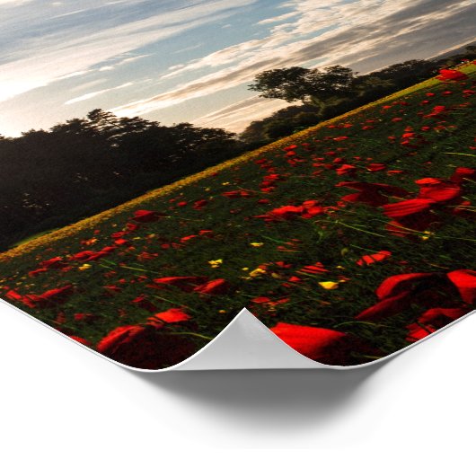 Vulcan-geschiedenis Poster (Hoek)