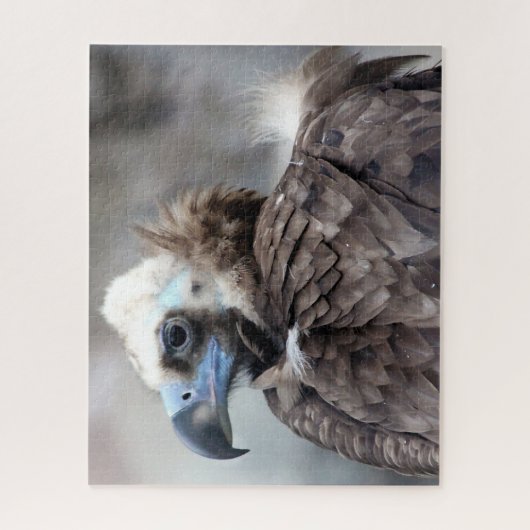 Vulingvogel van Prey. Legpuzzel (Verticaal)