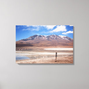 Vulkaan in een Altiplano landschapsdoek Canvas Afdruk