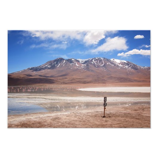 Vulkaan in een altiplano-landschapsfoto foto afdruk (Voorkant)
