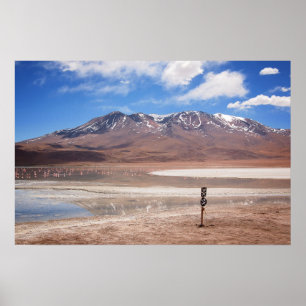 Vulkaan in een altiplano-poster poster