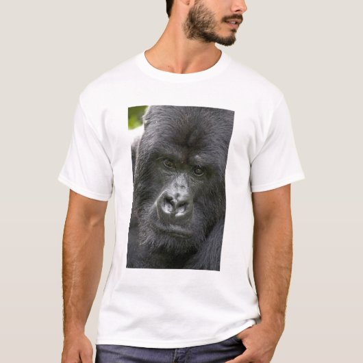 Vulkanen NP, Rwanda, berggorilla's, T-shirt (Voorkant)