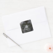 Vulkanen NP, Rwanda, berggorilla's, Vierkante Sticker (Envelop)