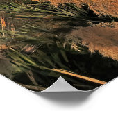 Vulkanen van Tongariro Poster (Hoek)