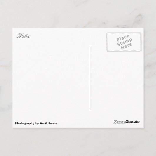 Vulkanisch eiland Lobos Briefkaart (Achterkant)