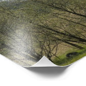 Vulkanisch landschap in St. Helens Foto Afdruk (Hoek)