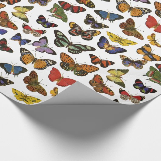 Vulkpapier voor vlinders cadeaupapier (Hoek)