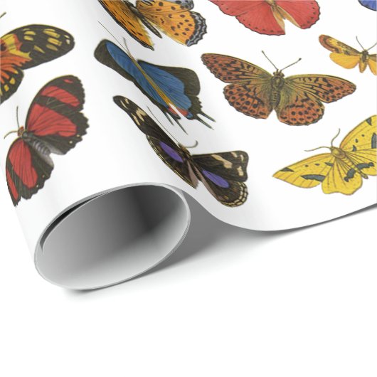 Vulkpapier voor vlinders cadeaupapier (Rol Hoek)