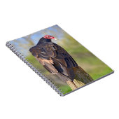 Vulpen van Turkije op de romp Notitieboek (Rechterzijde)