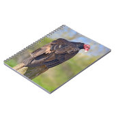 Vulpen van Turkije op de romp Notitieboek (Linkerzijde)