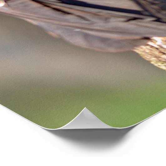 Vulpen van Turkije op de romp Poster (Hoek)