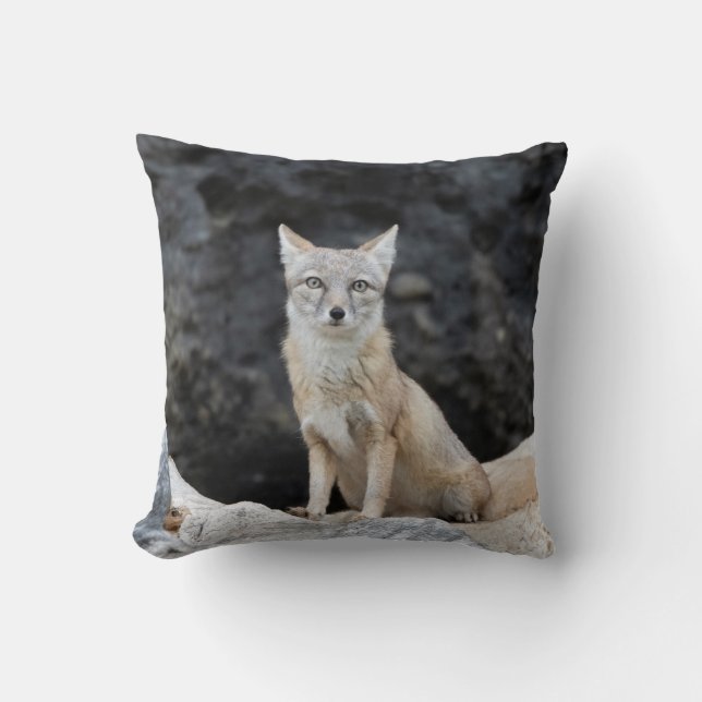 Vulpes corsac kussen (Voorkant)