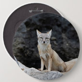 Vulpes corsac ronde button 6,0 cm (Voorkant /achterkant)