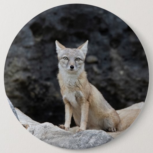 Vulpes corsac ronde button 6,0 cm (Voorkant)