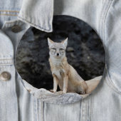 Vulpes corsac ronde button 6,0 cm (In situ)